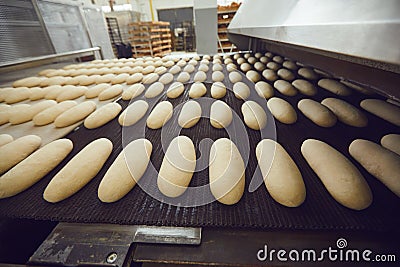 Automatic bakery production line with bread in bakery factory Stock Photo