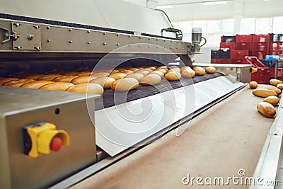 Automatic bakery production line with bread in bakery factory Stock Photo