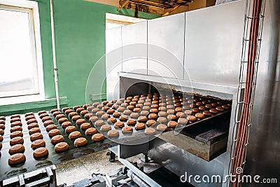 Automatic bakery production line with sweet cookies on conveyor belt equipment machinery in confectionary factory workshop Stock Photo