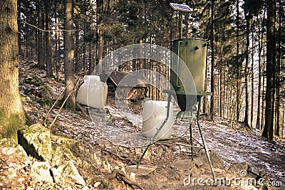 Automatic feeder for forest animals Stock Photo