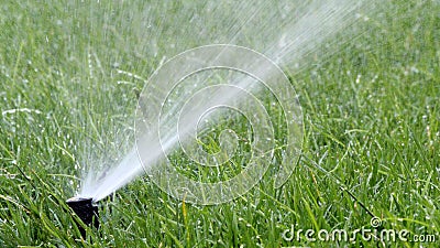 Automatic Garden Irrigation Spray Stock Photo