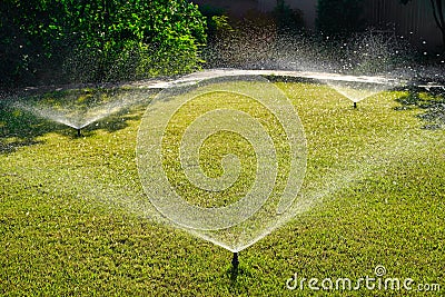 Automatic Garden Sprinkler. Backyard Watering Technology for green lawn Stock Photo