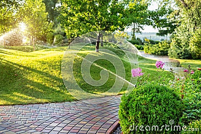 Automatic garden watering system with different sprinklers installed under turf. Landscape design with lawn hills and fruit garden Stock Photo