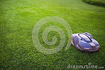 Automatic lawn mower robot moves on the grass, lawn. side view from above, copy space Stock Photo