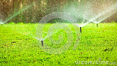 Automatic lawn sprinkler watering green grass. Sprinkler with automatic system. Garden irrigation system watering lawn. Water Stock Photo