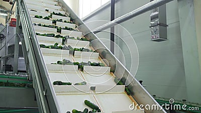 automatic cucumber slicer automatic cucumber slicer