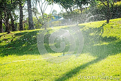 automatic watering system and water sprayed from the sprinkler for lawn, grass Stock Photo