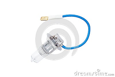 Automotive halogen light bulb with short piece of wire and flat connector. Isolated on white background. Stock Photo