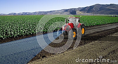 Autonomous tractor working in lettuce field, Future 5G technology with smart agriculture farming concept, 3drender Stock Photo