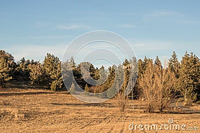 Autum American western rural ranch countryside landscape with tall vintage rustic retro windmill in a mowed field and green oak Stock Photo
