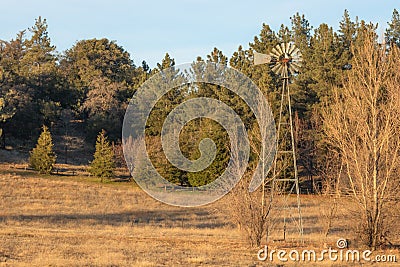 Autum American western rural ranch countryside landscape with tall vintage rustic retro windmill in a mowed field and green oak Stock Photo