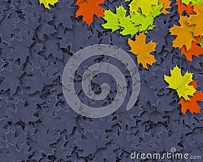 Autum Background Stock Photo