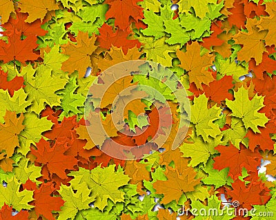 Autum Background Stock Photo