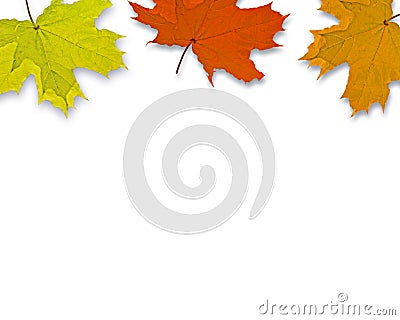 Autum Background Stock Photo