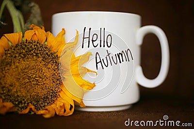 Autum coffee concept with yellow sunflower closeup. White mug of coffee with text - Hello Autumn Stock Photo