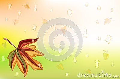 Autum rain and golden leaf Vector Illustration