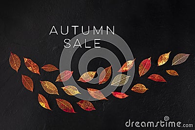 Autum Sale. Discount banner or flyer design template with vibrant autumn leaves and a place for a logo Stock Photo