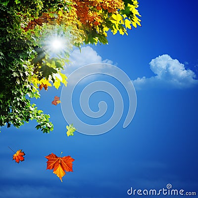 Autumn, abstract natural backgrounds Stock Photo