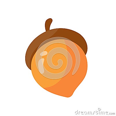 autumn acorn Thanksgiving decorative elements Vector Illustration