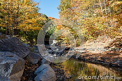 An Autumn Afternoon by a Mountain Stream Stock Photo