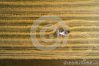 Autumn agricultural works Stock Photo