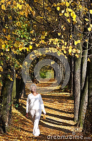 Autumn alley Stock Photo