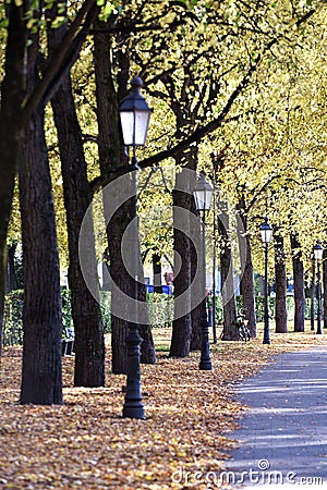 Autumn alley Stock Photo