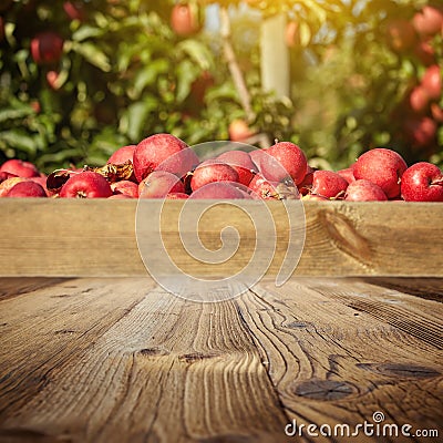 Autumn apple orchard . wooden background Stock Photo