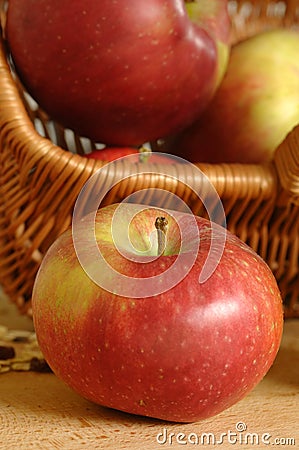 Autumn apples Stock Photo