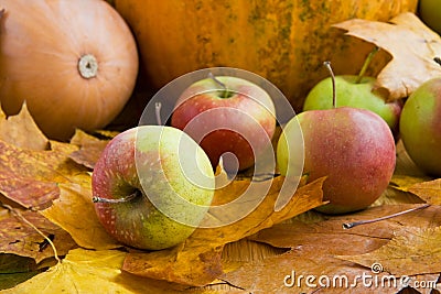 Autumn apples and pumpkins Stock Photo