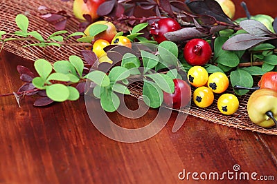 Autumn arrangement Stock Photo