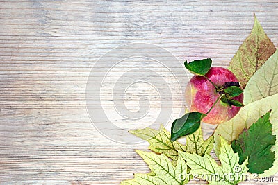 Autumn arrangement - the corner is decorated with a ripe red apple on yellow autumn leaves. Wooden background. Place for text Stock Photo