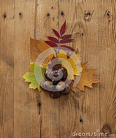 Autumn arrangement. Leaves and chestnuts on a wooden background. Stock Photo