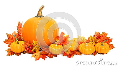 Autumn arrangement Stock Photo