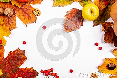 Autumn art composition - varied dried leaves, pumpkins, fruits, rowan berries on white background. Autumn, fall Stock Photo