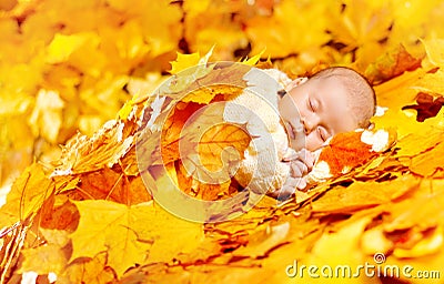 New Born Autumn Baby Sleeping, Newborn Kid Fall Yellow Leaves Stock Photo