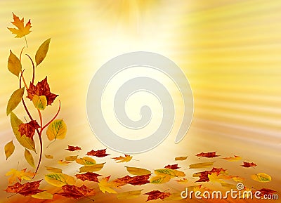 Autumn background Stock Photo