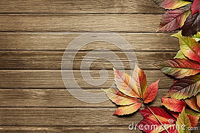 Autumn background Stock Photo