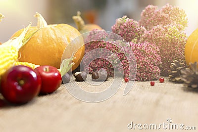 Autumn background with apples, pumpkins and a sunbeam of light. Stock Photo