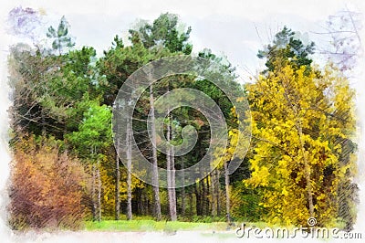 Autumn background beautiful colorful forest landscape nature park with trees in watercolor artistic style pattern. Stock Photo