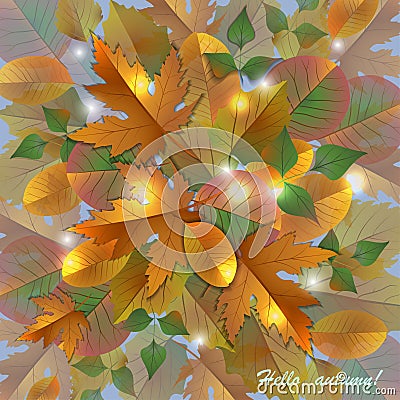 Autumn background with beautiful leaves Vector Illustration