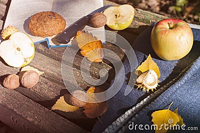 Autumn background with book, plaid, yellow leaves and apples Stock Photo