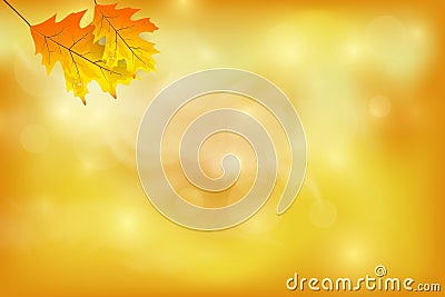 Autumn background with colorful leaves. Vector Illustration