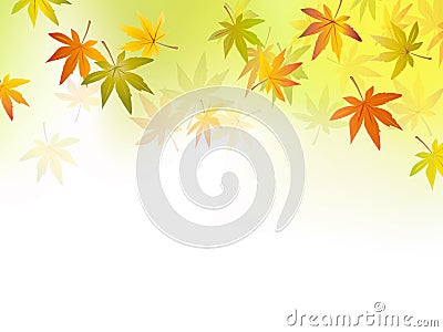 Autumn background - fall leaf Vector Illustration