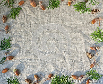 Autumn background with frame of evergreen trees, cones and acorns on gray linen textile. Stock Photo