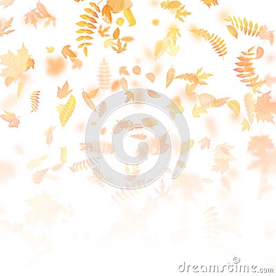 Autumn background with leaves. Back to school template. EPS 10 Vector Illustration