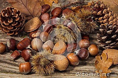 Autumn Background Stock Photo