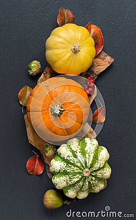 Autumn background - Pumpkins, acorns, leaves and berries Stock Photo