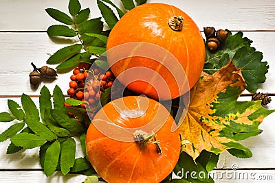 Autumn background. Pumpkins, rowan, cones, leaves on a wooden background. harvest concept, thanksgiving day. Stock Photo