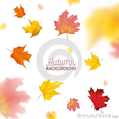 Autumn Background with Red and Yellow Maple Leaves. Nature Fall Seasonal Design Template for Web Banner, Leaflet, Sale Vector Illustration